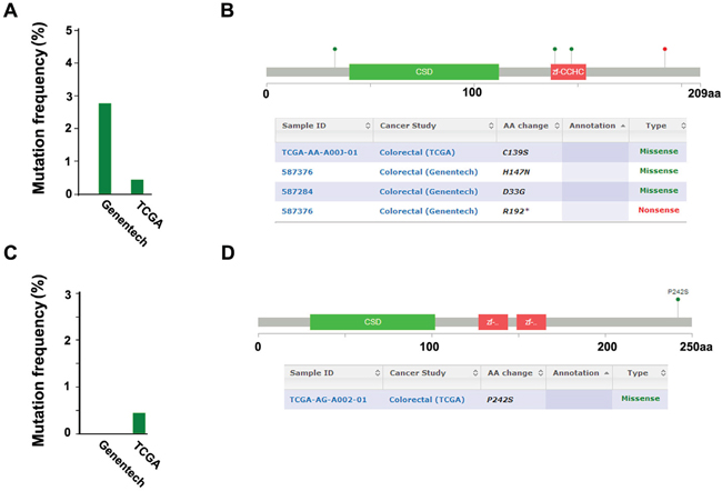 Detection of the mutation of Lin28A and Lin28B in colon cancer samples based on the cBioPortal cancer genomic data.