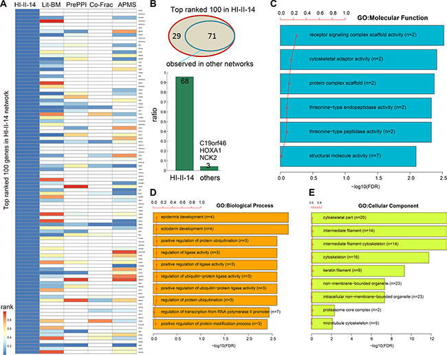 Functional enrichment of top ranked candidate genes in the systematic HI-II-14 network.