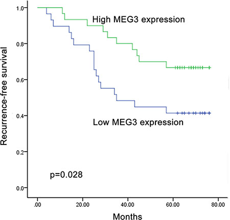 Recurrence prediction of MEG3 expression.