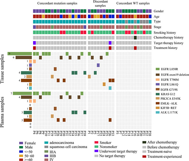Mutation patterns of tissue and plasma samples from 39 patients with non-small cell lung cancer.