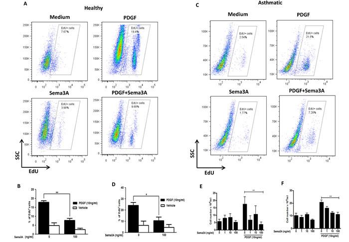 Inhibition of HASMC proliferation in response to Sema3A.