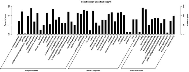 GO functional enrichment analysis for predicted target genes of the 29 differentially expressed miRNAs in pulmonary artery tissues from the Dis and Nor broilers.