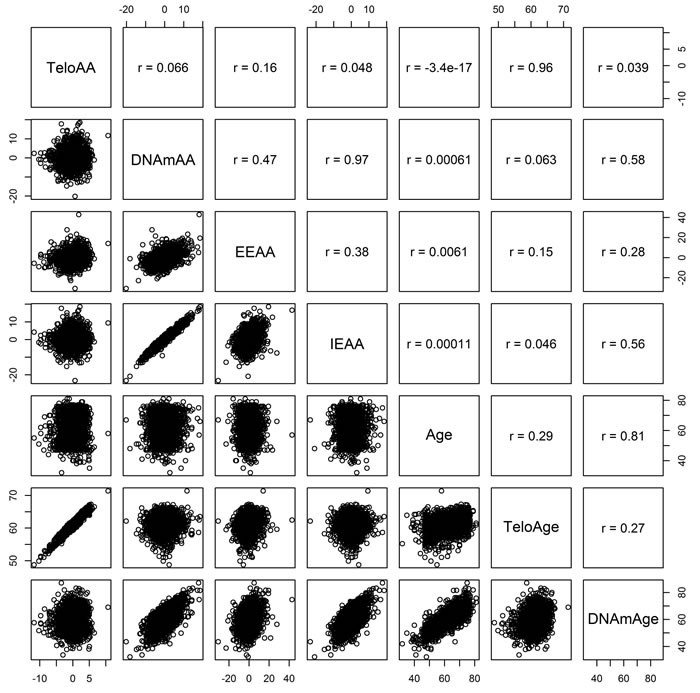 KORA Pearson correlations between telomere length based age acceleration (TeloAA), epigenetic age acceleration (DNAmAA), extrinsic epigenetic age acceleration (EEAA), intrinsic age acceleration (IEAA), chronological age (Age), telomere length estimated chronological age (TeloAge), and epigenetic age (DNAmAge).