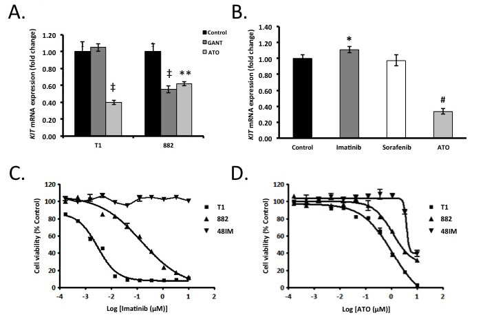 Pharmacologic modulation of Gli transcription factors decreases KIT expression and cell viability.