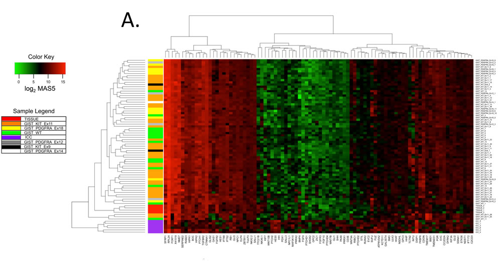 Hedgehog signaling-related genes are differentially expressed by human gastric GIST, purified human ICC and their source tissue by microarray analysis.