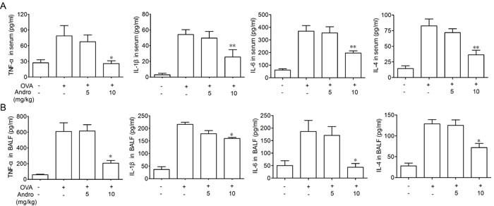 Andrographolide treatment suppressed OVA-induced cytokines elevation.