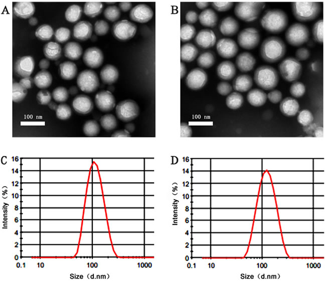 Characterastics of different nanoparticles.