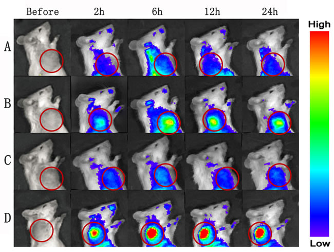 Figure 7: