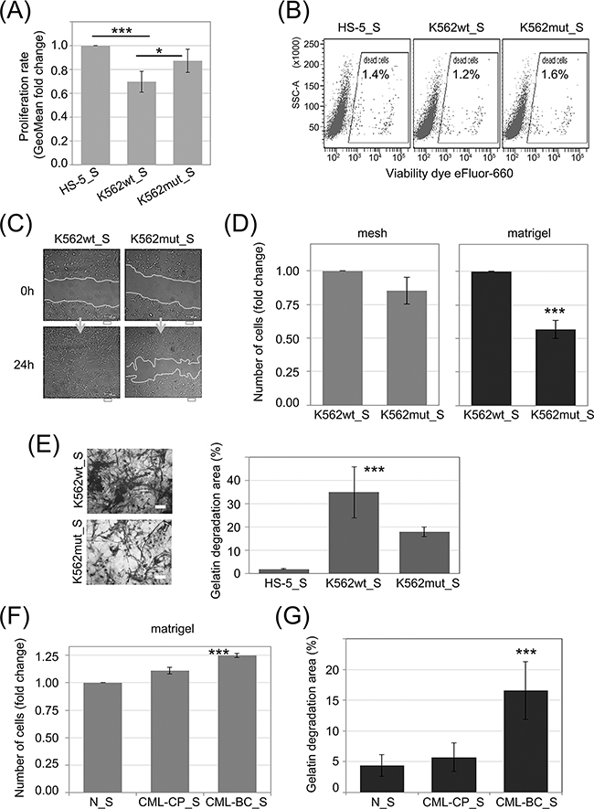 Influence of eIF2&#x03B1; phosphorylation on the invasion potential of HS-5 stromal fibroblasts.