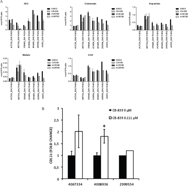 CB-839 induces metabolic changes in IDH1/2 mutant AML patient samples.