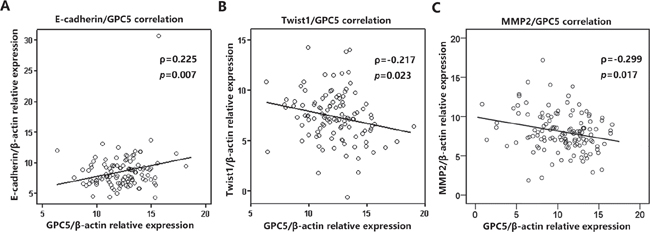 GPC5 expression was significantly correlated with the expression of E-cadherin, Twist1, and MMP2 in NSCLC.
