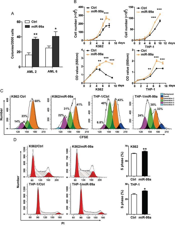 Ectopic miR-99a expression accelerated the growth of myeloid leukemia cells.