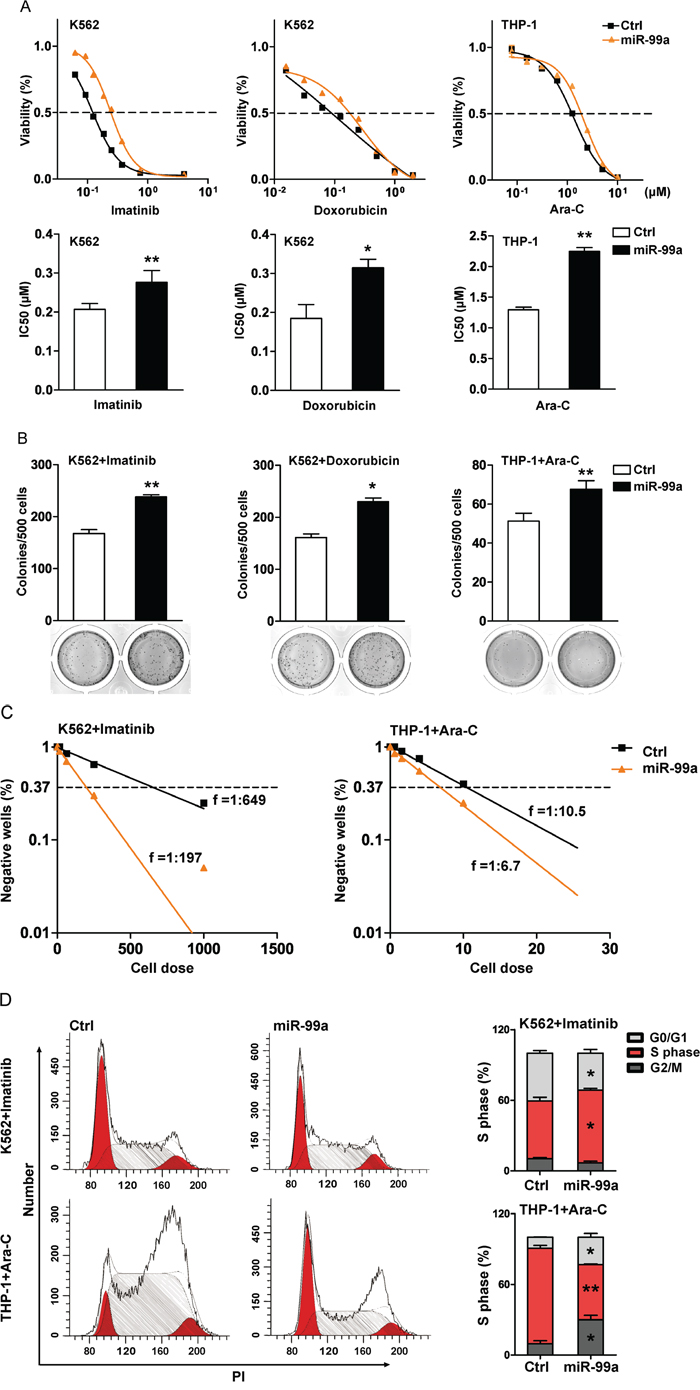 Ectopic miR-99a expression promotes leukemic cell survival after exposure to chemotherapeutic agents in vitro.