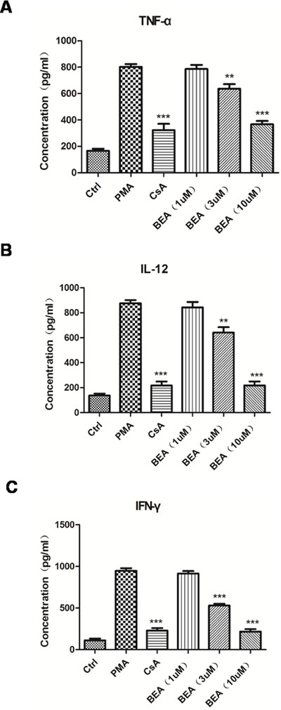 BEA inhibited PMA-induced up-regulation of inflammatory mediators of lymphocytes.