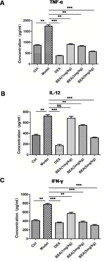 BEA reduced serum levels of TNF-&#x3b1;, IL-12 and IFN-&#x3b3; in mice.