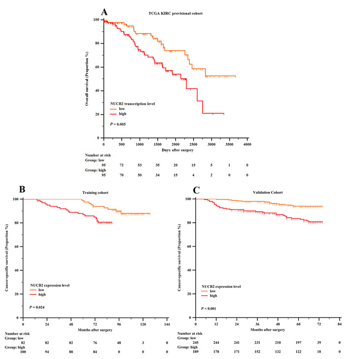 Kaplan-Meier analysis of cancer-specific survival of patients with clear-cell renal cell carcinoma (ccRCC) based on NUCB2 mRNA level and protein level.