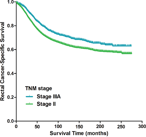 Kaplan-Meier curves of cancer-specific survival for patients with stage II and stage IIIA rectal cancer from the SEER database.