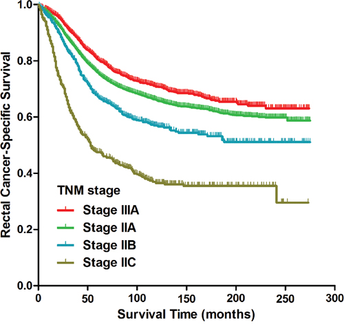 Kaplan-Meier curves of cancer-specific survival for patients with stage IIA, stage IIB, stage IIC and stage IIIA rectal cancer from the SEER database.