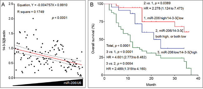 The clinical relationships between miR-206 and 14-3-3&#x03B6; in NSCLC.
