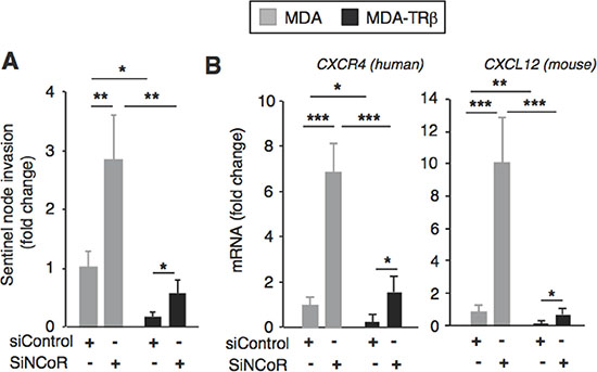 NCoR depletion increases chemokine expression and sentinel node invasion.