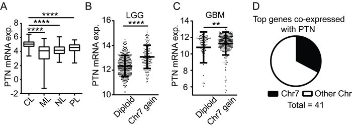 PTN up-regulation is associated with chromosome 7 gain.
