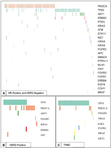 Spectrum of Mutations Detected by the 46 or 50 Gene Ampliseq Ion Torrent Assay.