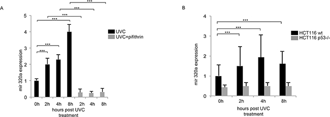 Mir320a induction in response to UVC radiations depends on p53.