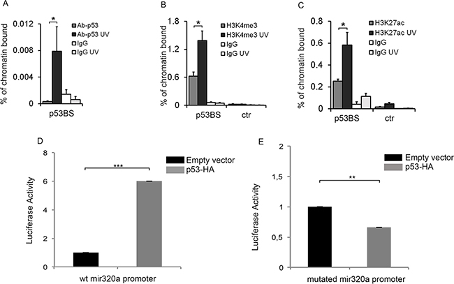 p53 directly regulates mir320a transcription in response to UVC radiations.