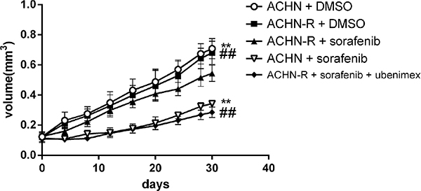 Subcutaneous injection of 5*106 ACHN cells per nude mouse was carried out.