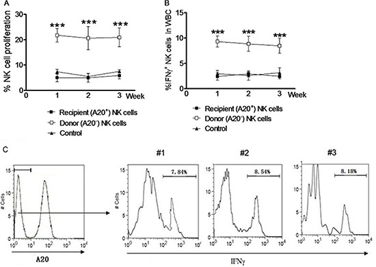 NK cells induced by in vivo IL pre-activation and re-stimulation remain the enhanced capacity to produce IFN&#x03B3; after syngeneic adoptive infusion.