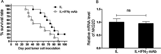 IFN&#x03B3; production plays an important role in anti-leukemia activity of NK cells induced by in vivo IL pre-activation and re-stimulation.