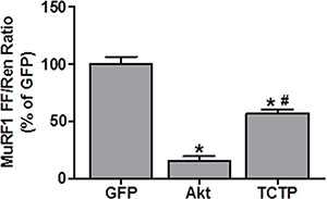 TCTP inhibits MuRF1 promoter activity.