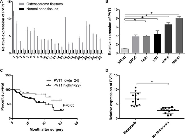 LncRNA PVT1 is overexpressed in osteosarcoma and decreases the survival rate of osteosarcoma patients.