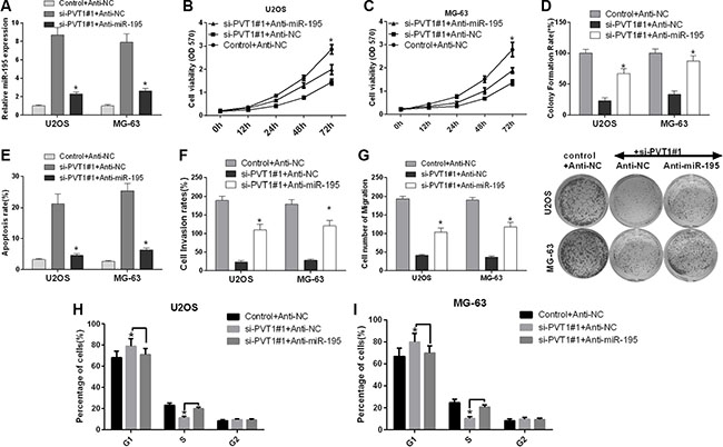 Silencing PVT1 by siRNA suppresses proliferation, migration and invasion and promotes cell cycle arrest and apoptosis via miR-195 in osteosarcoma cells.