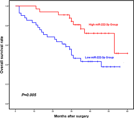 Elevated expression of miR-222-3p is associated with improved overall survival of EOC patients.