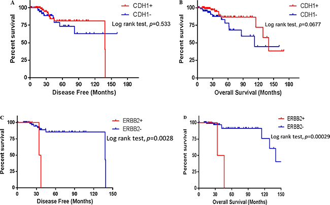 Survival of the ILC patients in different states of CDH1 and ERBB2 gene mutation states.