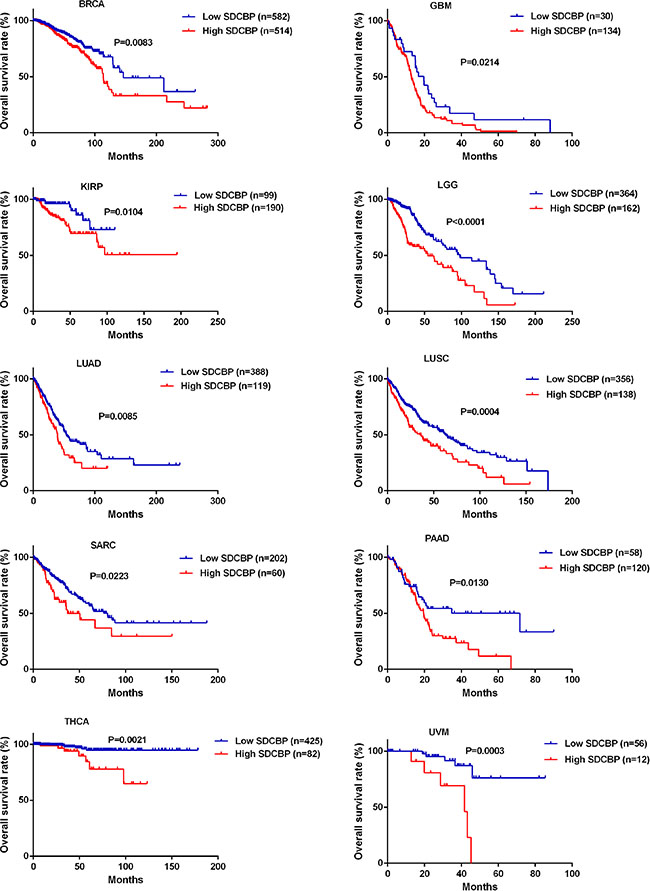 Higher SDCBP expression was associated with poorer overall survival in other types of cancers.