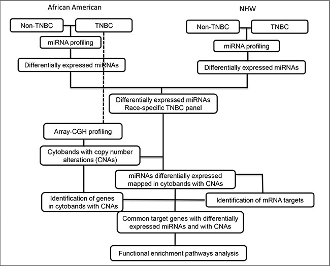 Workflow of miRNA expression and copy number profiling and downstream comprehensive computational analysis performed in the TNBC and non-TNBC cases of AA and NHW group of patients.