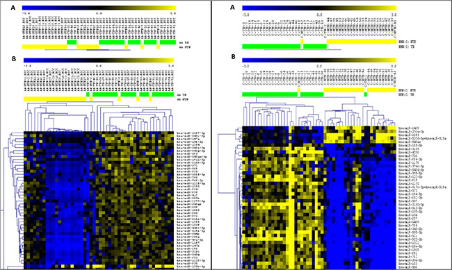 Unsupervised (A) and Supervised (B) Hierarchical Clustering analysis applied to the TNBC (green bars) and non-TNBC (yellow bars) cases of the AA and NHW group of patients (left and right panel respectively).