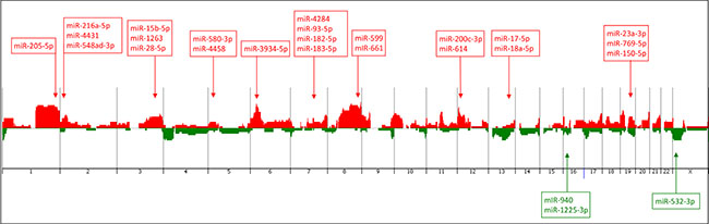 Penetrance plot of the array-CGH profiling of the TNBC cases from the AA patients analyzed, showing the corresponding genome location (arrows) of the 26 miRNAs of the identified panel.