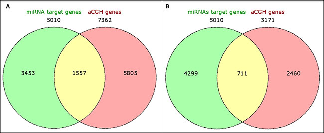 Venn diagrams showing integration of genes located at the identified cytobands (A) and in the most frequent cytobands (present in greater than or equal to 50% of the cases) (B) with CNAs in the TNBC-AA cases and the corresponding miRNA target genes.