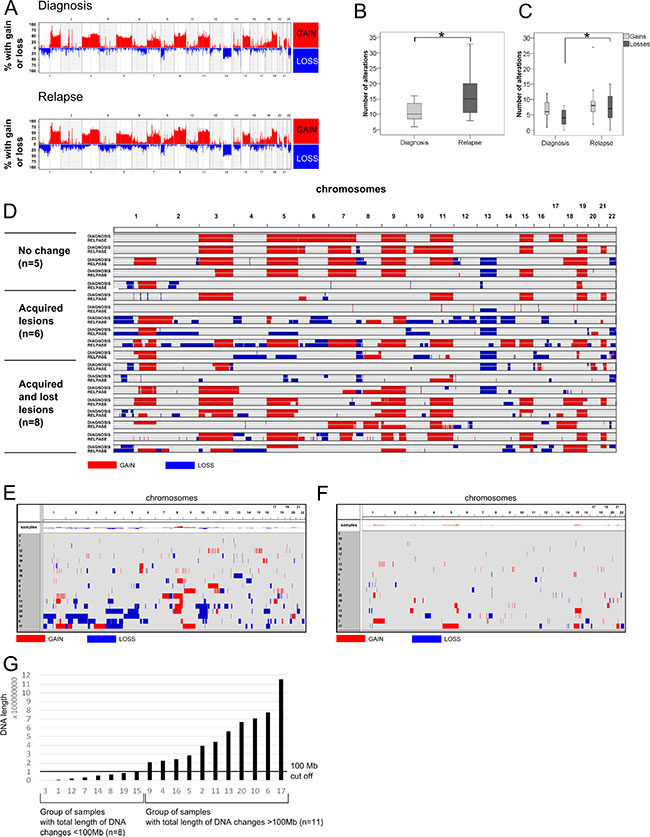 Genomic landscape of MM revealed by SNP microarrays.