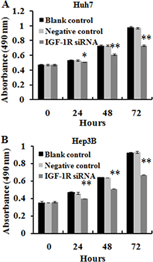 Effect of IGF-1R knockdown by RNAi on the proliferation of Huh7 and Hep3B cells.