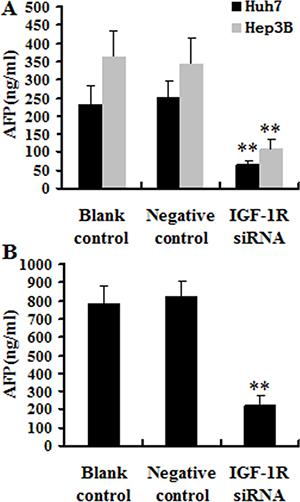 Effect of IGF-1R knockdown by RNAi on the AFP secretion.