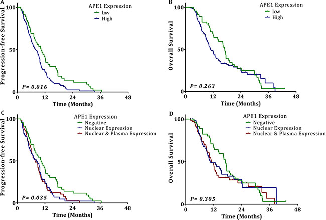 The association of tissue APE1 expression with outcomes of NSCLC.