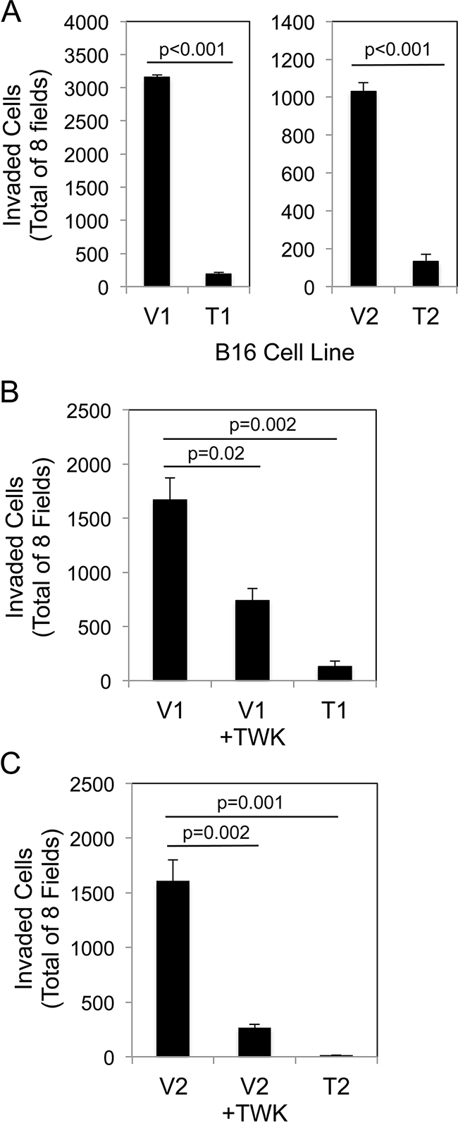 Both TWEAK overexpression in B16 cells and exogenous TWEAK treatment of B16 cells inhibits cell invasion.
