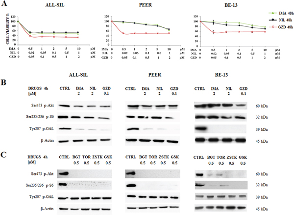 Effectiveness of Imatinib, Nilotinib and GZD824 in ALL-SIL, PEER and BE-13 cell lines.