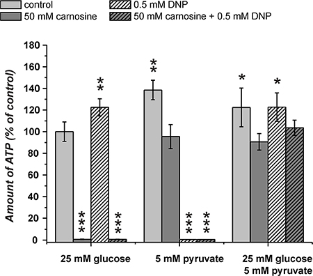 Amount of ATP in cell lysates of the line U87 under the influence of carnosine and 2,4-dinitrophenol (DNP).