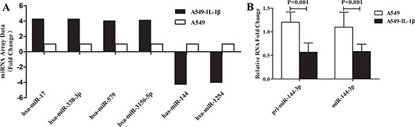 IL-1&#x03B2; was involved in regulation of miR-144-3p at the transcriptional level.