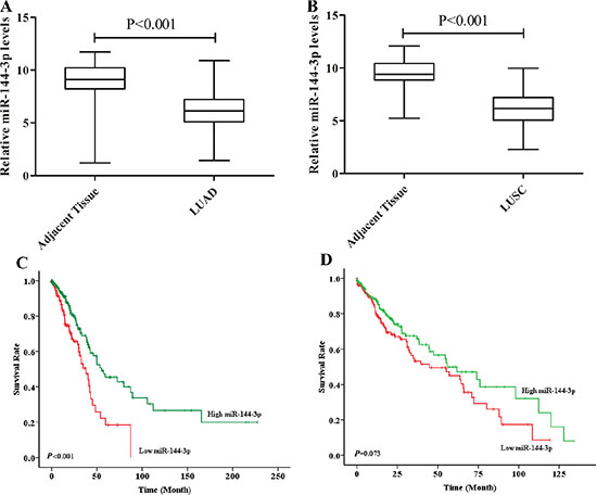 TCGA data validated the correlation of miR-144-3p and prognosis.